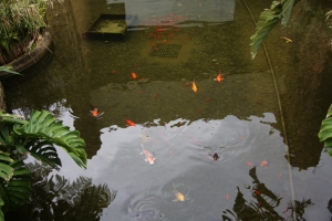 okinawa naha 178
