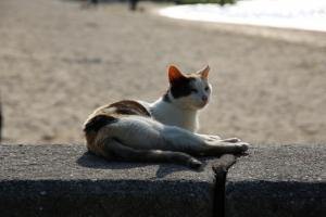okinawa naha 101