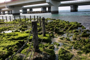 okinawa naha 113