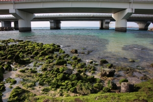 okinawa naha 114