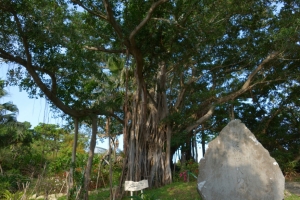 okinawa naha 118