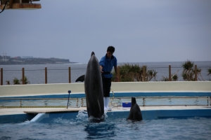 okinawa naha 130
