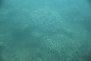 okinawa naha 085