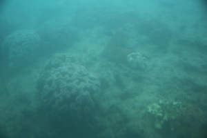 okinawa naha 086