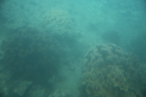 okinawa naha 087