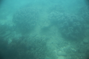 okinawa naha 089