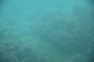 okinawa naha 090