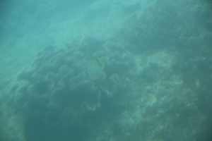 okinawa naha 092