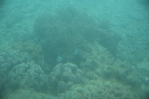 okinawa naha 093