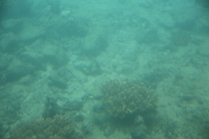 okinawa naha 094