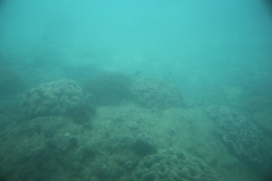 okinawa naha 096
