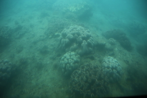 okinawa naha 097
