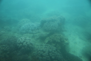 okinawa naha 098
