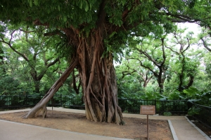 okinawa naha 069