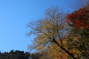 nakatsugawa 005