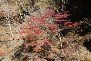 nakatsugawa 007