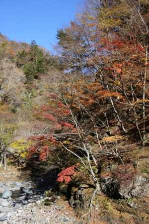 nakatsugawa 008