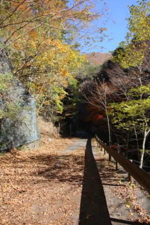nakatsugawa 013