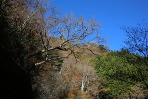 nakatsugawa 014