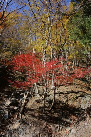 nakatsugawa 018
