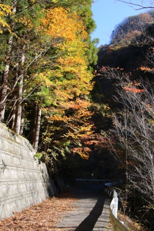 nakatsugawa 019