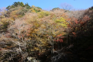 nakatsugawa 020