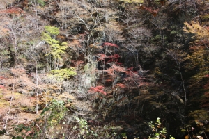 nakatsugawa 023