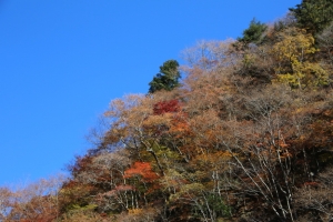 nakatsugawa 024