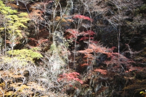 nakatsugawa 025