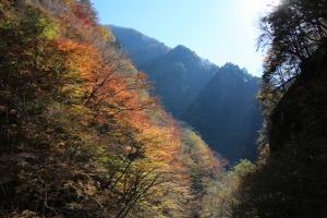nakatsugawa 027