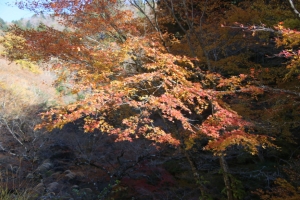 nakatsugawa 028