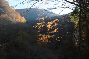 nakatsugawa 030