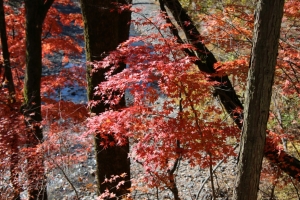 nakatsugawa 038