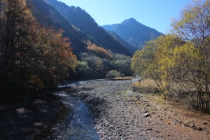 nakatsugawa 041