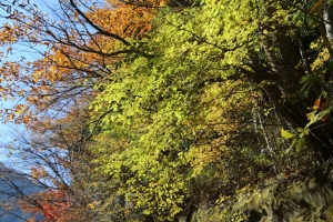 nakatsugawa 043