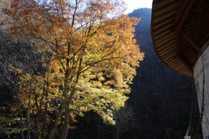 nakatsugawa 046