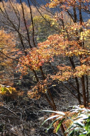 nakatsugawa 050
