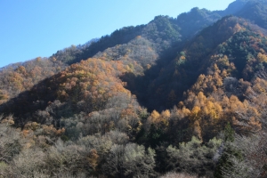 nakatsugawa 052
