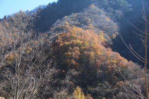 nakatsugawa 054