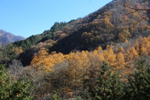 nakatsugawa 058