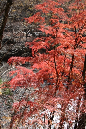 nakatsugawa 061