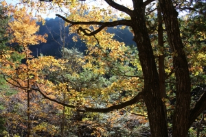 nakatsugawa 064