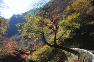nakatsugawa 074