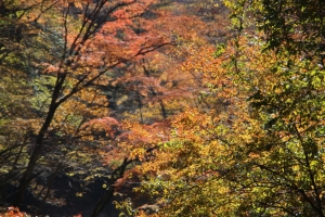 nakatsugawa 076