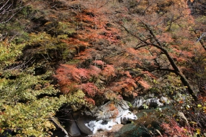 nakatsugawa 079
