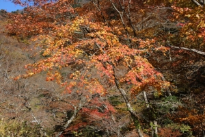 nakatsugawa 082