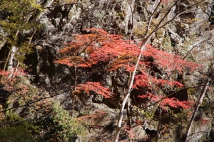nakatsugawa 084