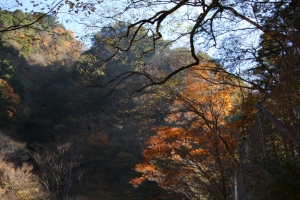 nakatsugawa 091