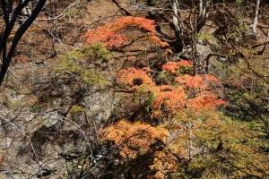 nakatsugawa 092