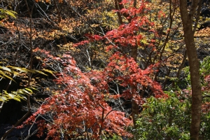 nakatsugawa 094